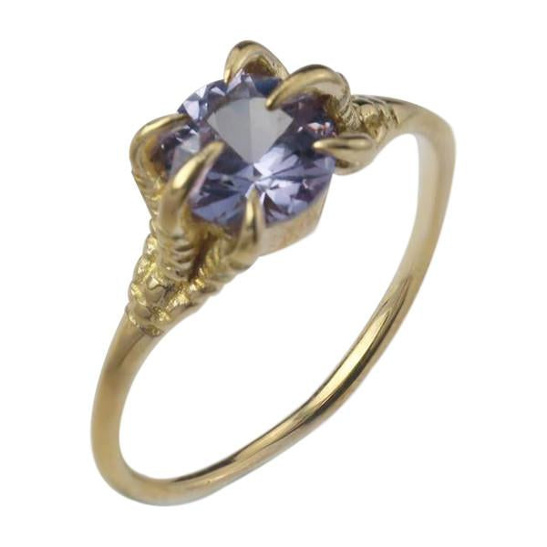 MONSTER DINO CLAW PRECIOUS