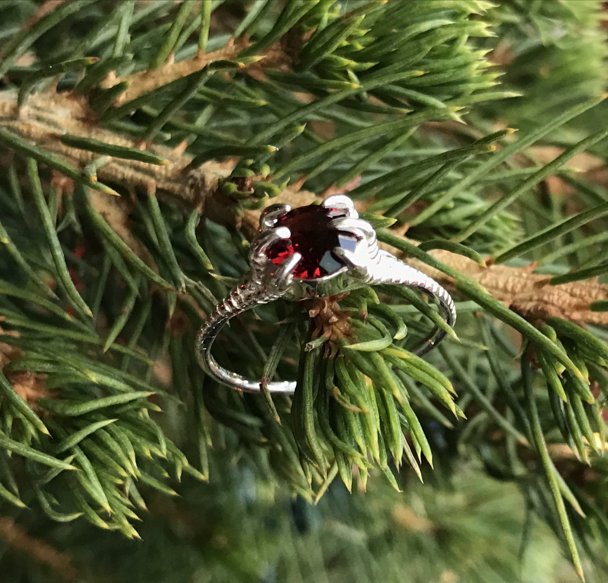 MONSTER DINO CLAW PRECIOUS