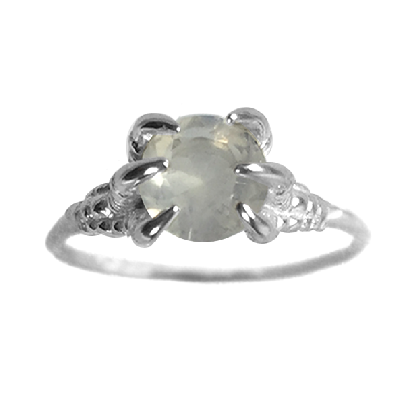 MONSTER DINO CLAW PRECIOUS