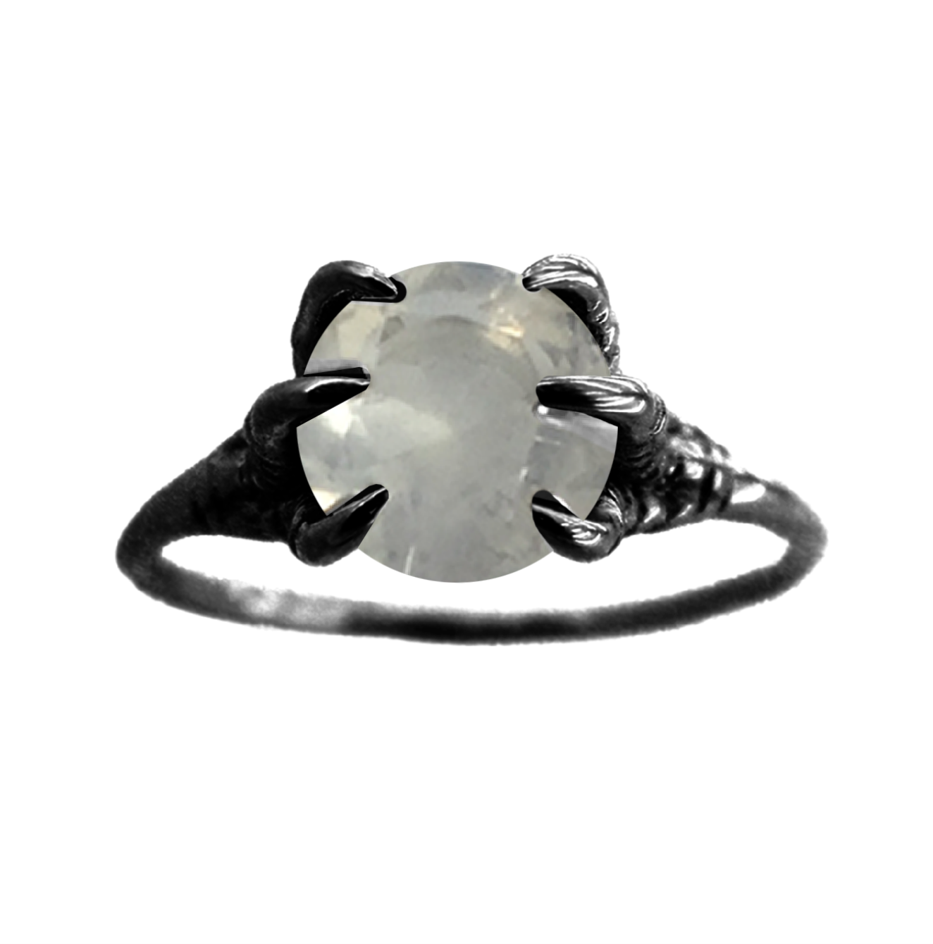 MONSTER DINO CLAW PRECIOUS