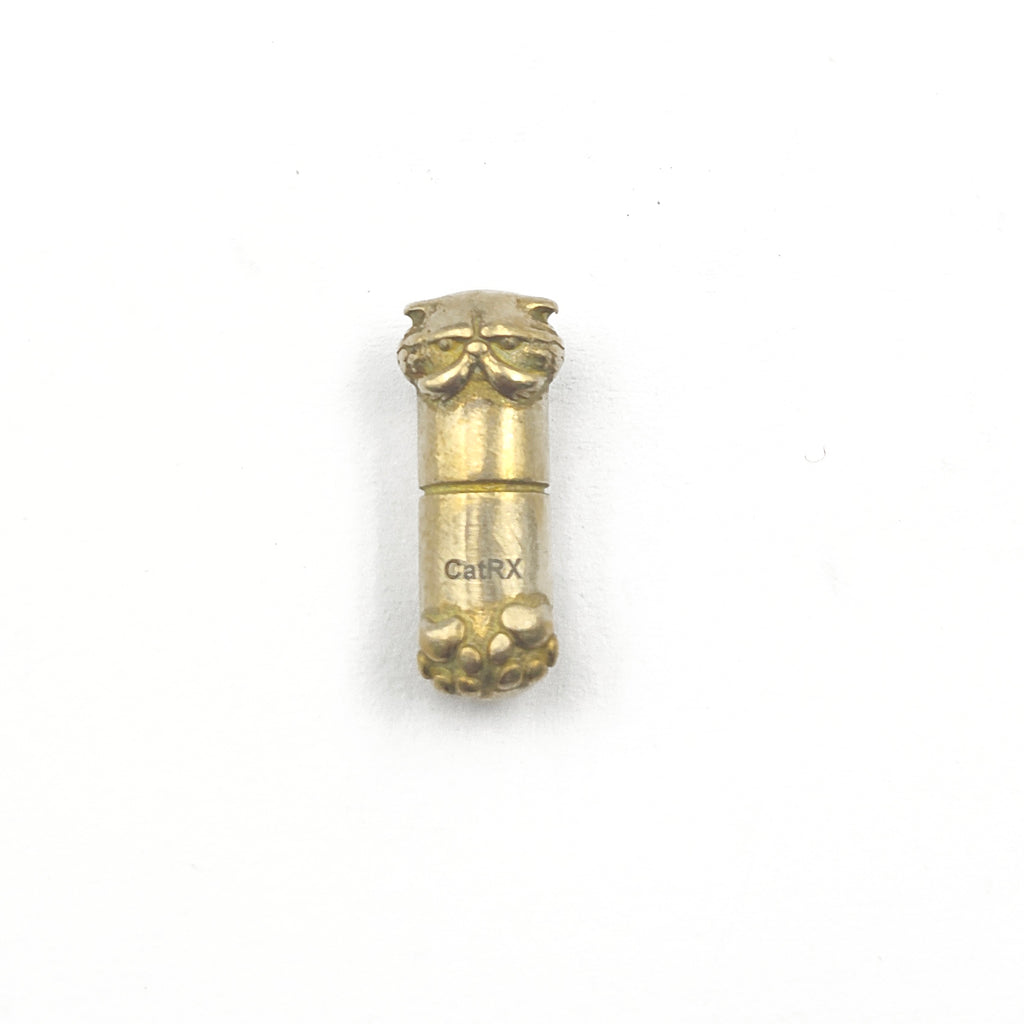 Gold Cat RX Pendant Necklace, Cat-themed Jewelry, pill design