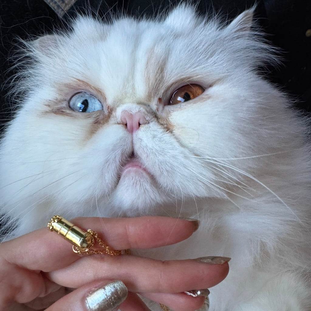 Gold Cat RX Pendant Necklace, Cat-themed Jewelry, pill design