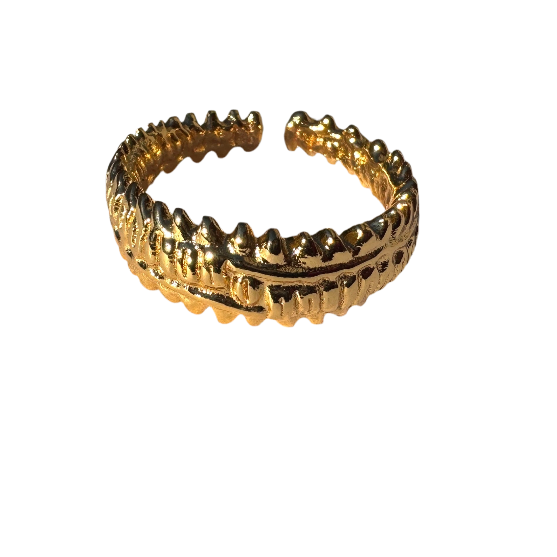 You Got This Spine Ring