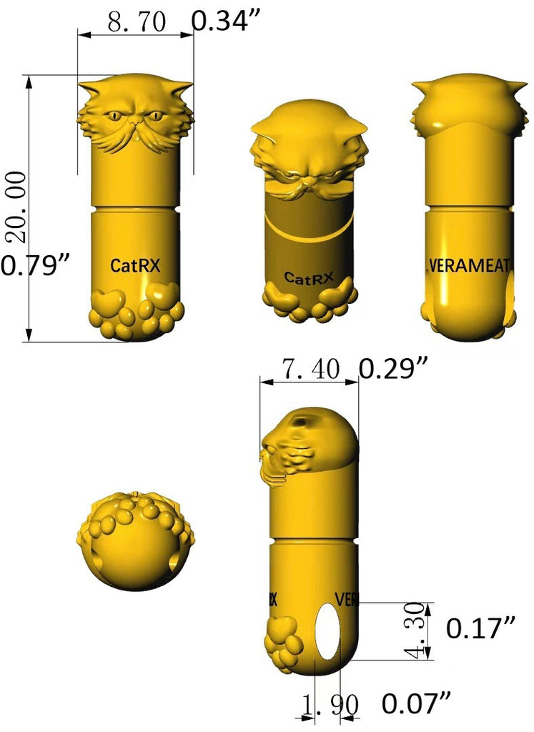 Gold Cat RX Pendant Necklace measurements, Cat-themed Jewelry, pill design
