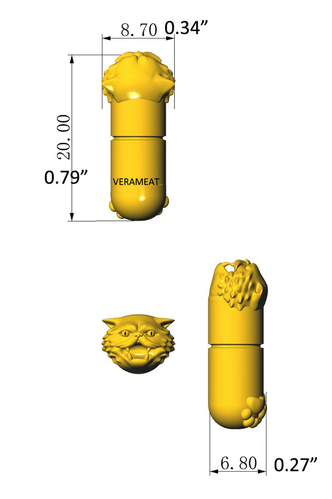 Gold Cat RX Pendant Necklace Measurements, Cat-themed Jewelry, pill design